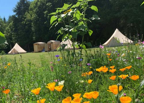 Au Pré Fleuri Eco Glamping