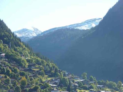 Appartement Morzine, 2 pièces, 6 personnes - FR-1-524-23