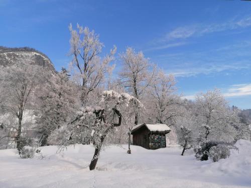 Taman, Apartma in sobe PR'OBJAN in Bled