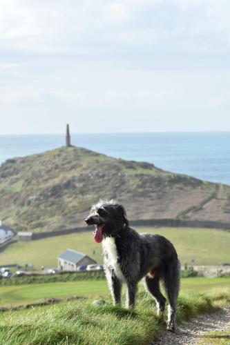 Cape Cornwall Club