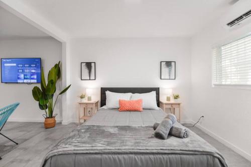 Fantastic studio near the beach in Miami, USA