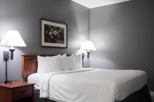 1 king bed, 1 sofa bed