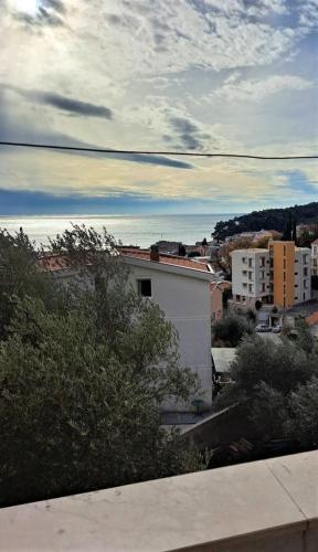 Apartment Vukica with free parking photo