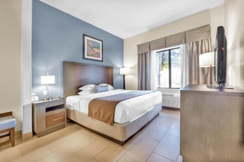 Superior Studio Suite with 1 King Bed, Non-Smoking