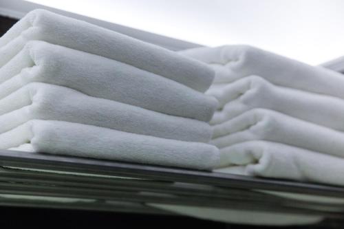 Pension Dvorak - image 14