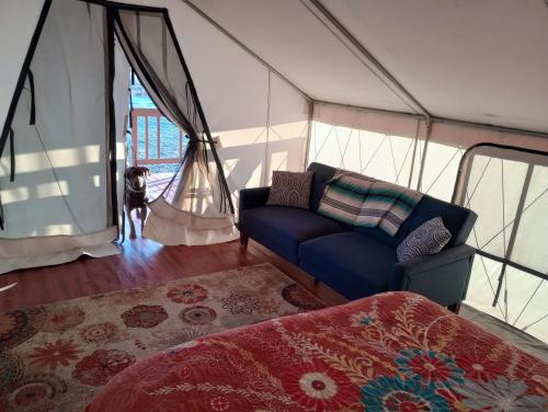 Cozy Glamp Tents at Wildland Gardens in Monroe