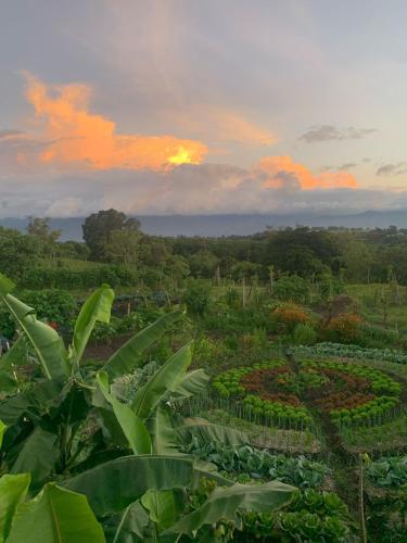 外部景觀, Glamping Campo Alegre in 卡塔戈