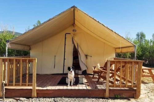 Cozy Glamp Tents at Wildland Gardens in Monroe