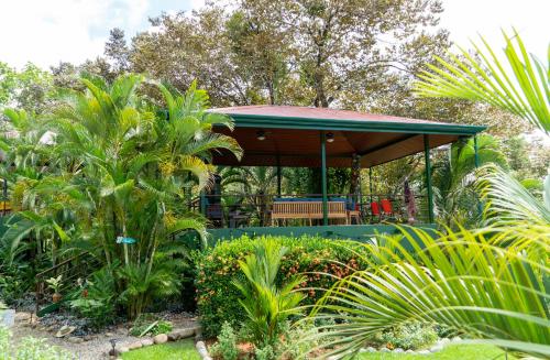 12 Best Hotels in Ojochal, Costa Rica for All Interests