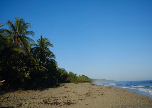 Palmarío Hostal