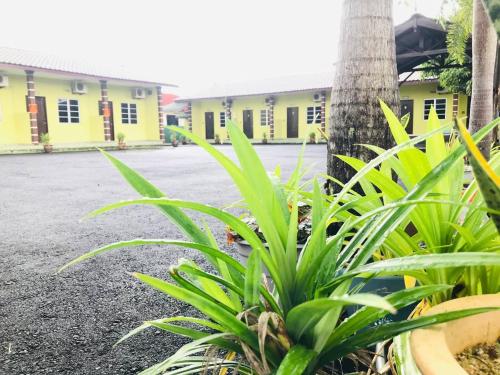 Chalet Sri Damai – Kampung Pengkalan Maras, MD