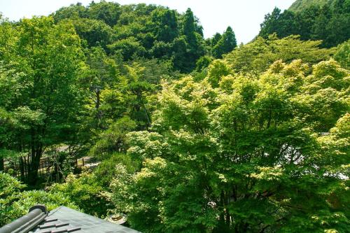 Shaga-no-Sato Yumeya - 정원