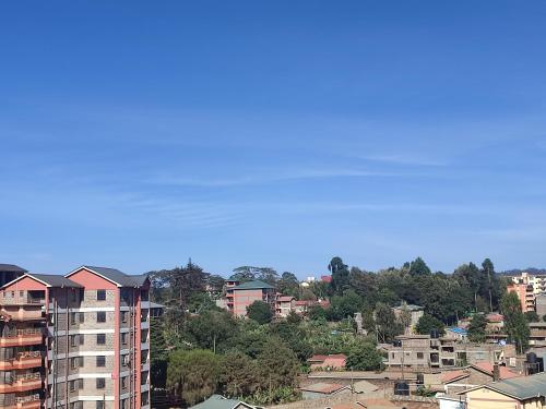 Classy Spacious Studio - Waiyaki Way, Rungiri (photo 6)