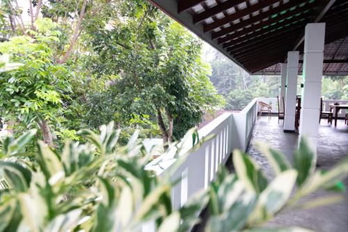 The Green Lagoon Villa