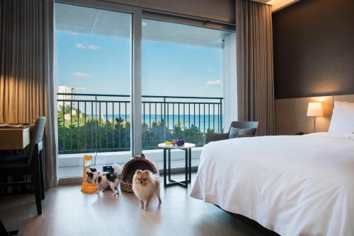 2023 세인트존스 호텔 (St.John's Hotel) 호텔 리뷰 및 할인 쿠폰 - 아고다 2023 세인트존스 호텔 (St.John'S Hotel) 호텔 리뷰 및 할인 쿠폰 - 아고다
