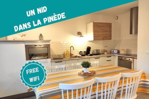 Un Nid dans la Pinède