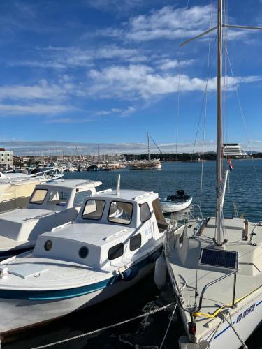 Leyla, Vodice