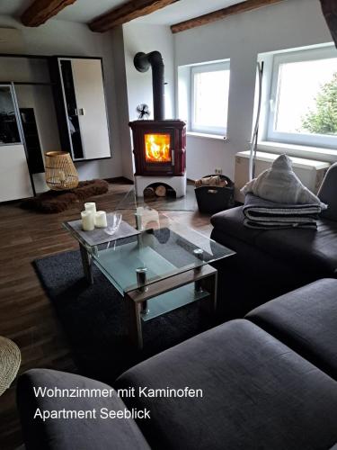 Közös társalgó / TV, Ferien Mecklenburgische Seenplatte, Urlaub auf dem Gutshof Bossow in Krakow am See