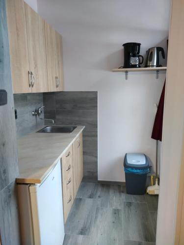 Apartmany Puskarcikova in Harrachov