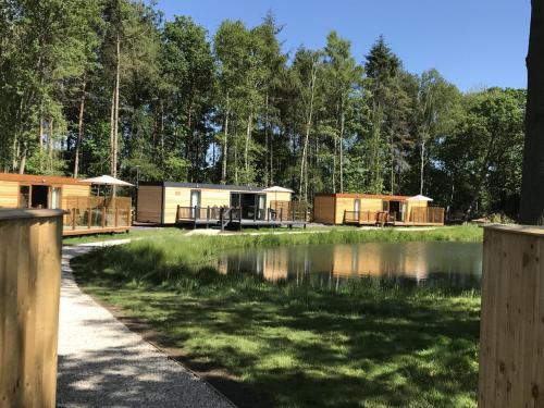 Kilátás, Rowan Boutique Lodge for couples with a dog in York Külváros