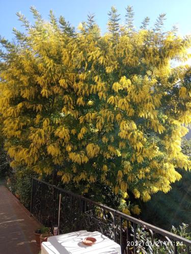 Garden, CHAMBRE dans Villa Charmant jardin in La Chamberte