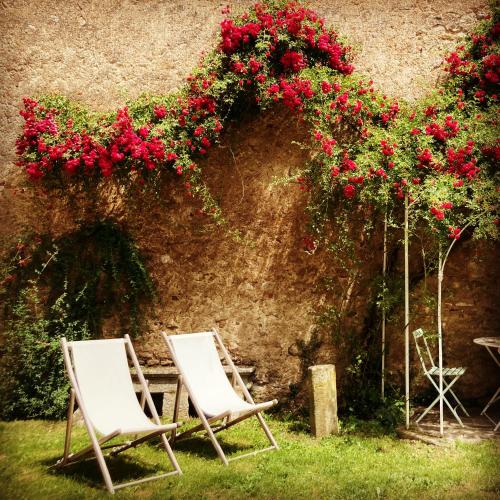 Le Cocand - Location saisonnière - Autun