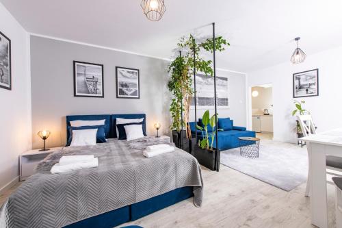 1 queen bed, 2 sofa beds