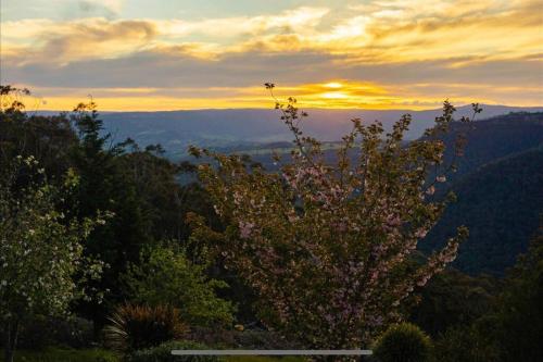 Panoramic Mountain view house on 7ha of lands