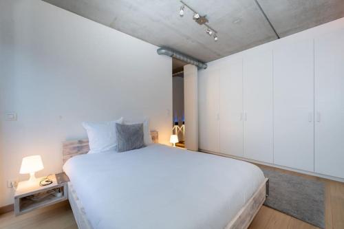 London 993 Loft 402, Amberes (foto 2)