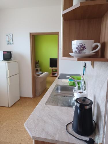 virtuve, Apartmán Kováčová - The Apartment in spa village (Apartman Kovacova - The Apartment in spa village) in Kovacova