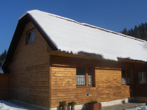 Chalupa Iveta - image 4