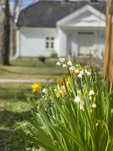 Engø Gård Hotel & Restaurant