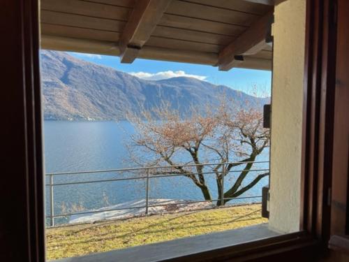 Lakeview Cannobio Camping & Resort photo