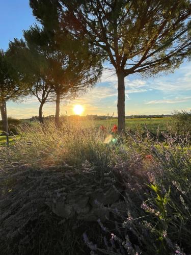 Agriturismo La Colmata