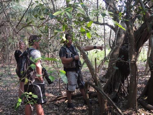 Spot Jaguar Pantanal South- Camping Wild Jaguar Tour