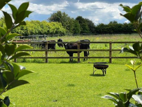 Cocklebury Farm