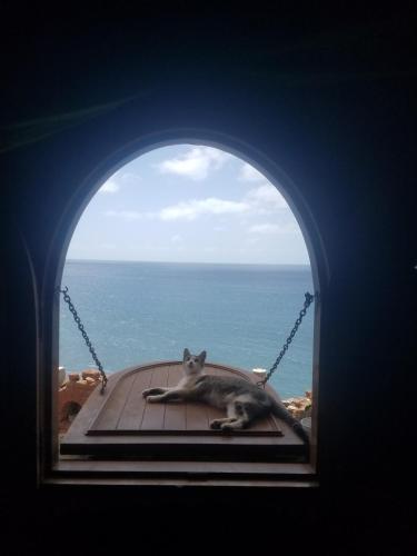 Casa Fabrice in Cidade Velha