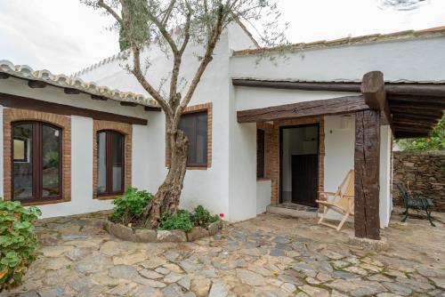 Finca El Azahar - image 8