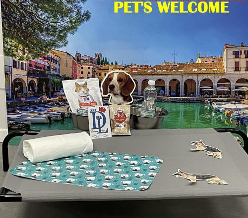 Foto - DesenzanoLoft Enjoy