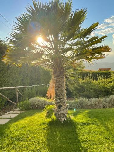 Sicilia tra cielo e mare con piscina