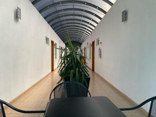 Hotel Santo Domingo Express in Villahermosa City Center