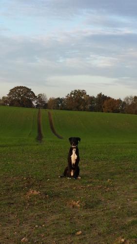 Išorė, Ferienhaus Heimathafen in Sierksdorf