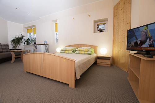 Guest House Drusva - image 3