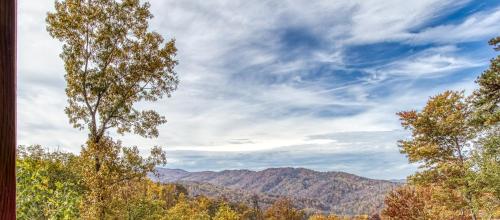 High In The Smokies