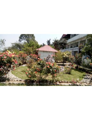 zahrada, Moon Hotel And Restaurant,Ranikhet in Ranikhet
