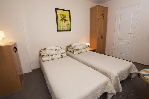 Guest House Drusva - image 12