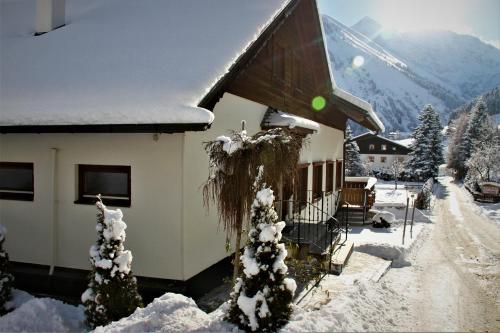 Alpin Haus Berwang