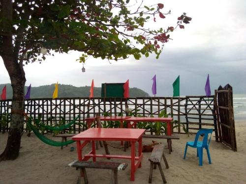 SHALOM CAMP - 주변 환경