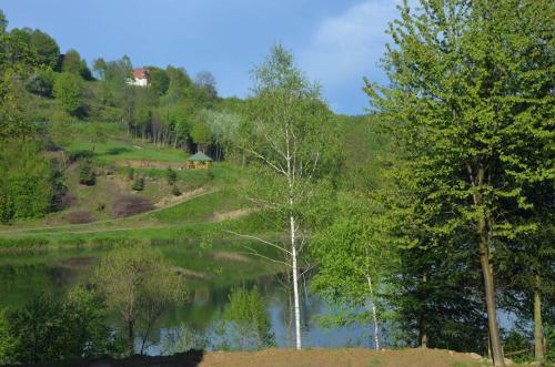 Sloneczna Kraina 1 in Wolkowyja