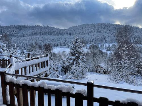 Chalet situé au grand Valtin - Ban-sur-Meurthe-Clefcy